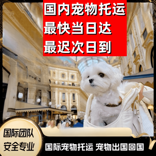 临沧市到澳大利亚（澳洲）宠物入境规定和要求